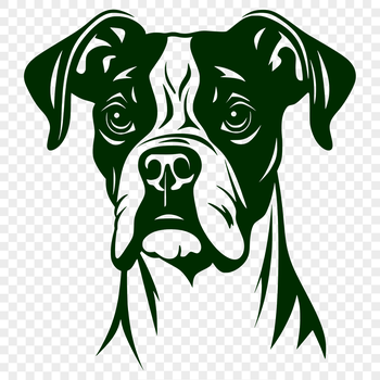 A detailed illustration of a Boxer dog's head, suitable for vector art design and printing.