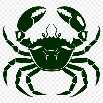 A full-body illustration of a crab with its shell and legs clearly defined.