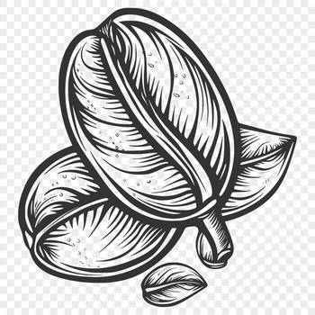 A stylized illustration of a single coffee bean, suitable for graphic design projects.