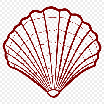 A detailed illustration of a seashell, ideal for use in various design projects.