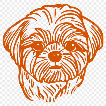A small breed dog with a flat face and long fur.
