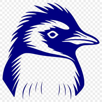 A high-quality digital illustration of a penguin's head with distinctive features.