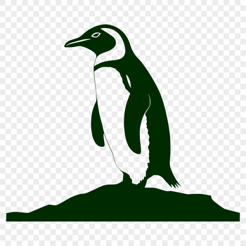 A full-body illustration of a penguin, suitable for use in various digital applications.