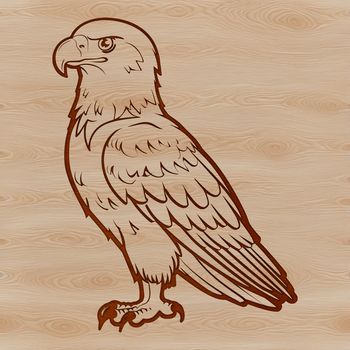A close-up of a wild eagle perched on a branch, with detailed feathers and talons.