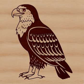 An illustration of a wild animal, specifically a majestic eagle in flight, depicted as a vector graphic.