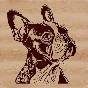 Illustrative design of a Boston Terrier dog's head, suitable for vector art and digital cutting applications.