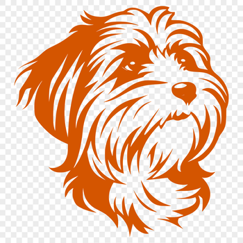 A vector illustration of a Havanese dog's head with detailed facial features.
