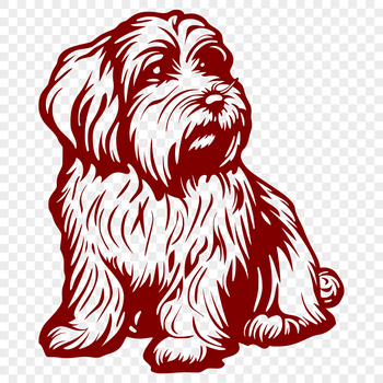 A high-resolution vector art depiction of a Havanesse in a seated position from head to paw.