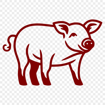 A pig standing on all fours, viewed from the side.