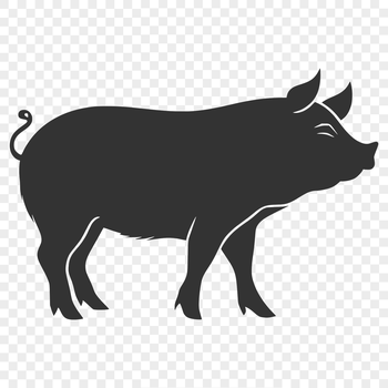 A single pig standing in a farm setting, depicted in simple vector lines.