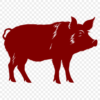 A full-body illustration of a standing pig, suitable for vector design and commercial use.