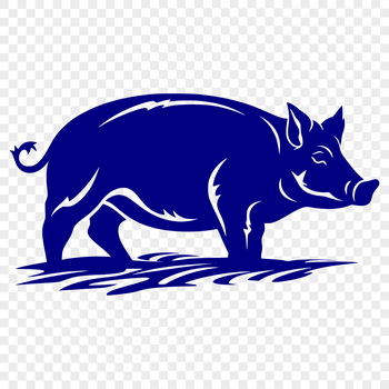 A standing pig with its full body visible.