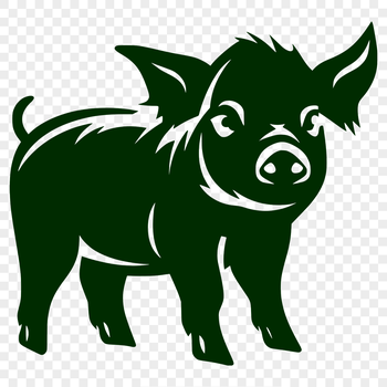 A detailed illustration of a standing pig from the front, suitable for vector art designs.