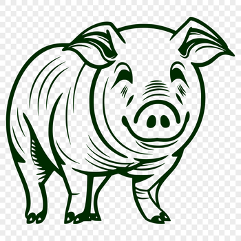 A standing pig with its full body visible from head to trotters.