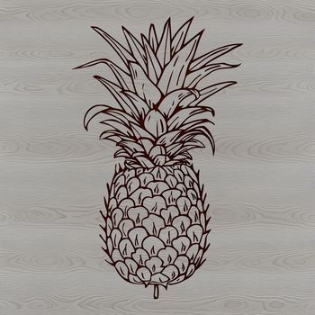 A high-quality SVG illustration of a pineapple, ideal for digital crafting and design projects.
