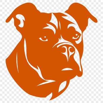 Close-up image of a Pitbull's head, suitable for clip art and vector design projects.