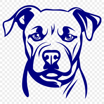 Close-up illustration of a Pitbull's head, suitable for vector art and graphics.