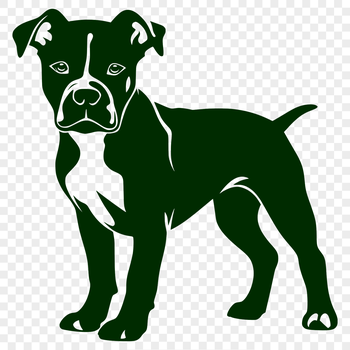 A full-body illustration of a pitbull in a standing position.