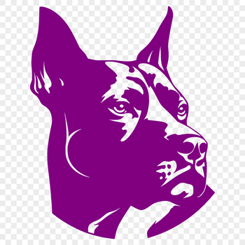 Close-up illustration of a Pitbull's head, suitable for vector graphics projects.
