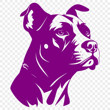 Close-up illustration of a pitbull's head with detailed features.