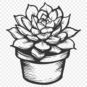 An icon representation of a desert-dwelling succulent plant featuring thick, waxy foliage.