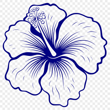 A single hibiscus flower with intricate details and realistic petals.