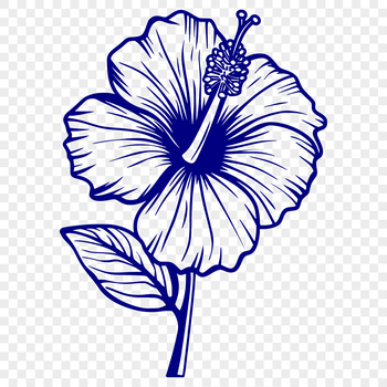 A high-quality illustration of a vibrant hibiscus flower with large, showy blooms.