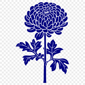 A stylized illustration of a single chrysanthemum flower with detailed petals and center.
