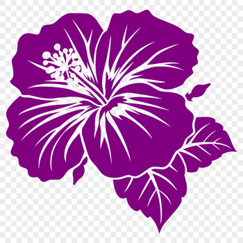 An illustration of a single hibiscus flower with vibrant petals.