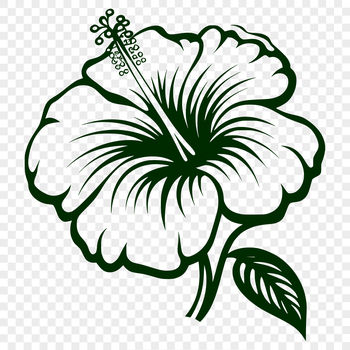 A colorful hibiscus flower with five petals, suitable for gardening and floral design purposes.