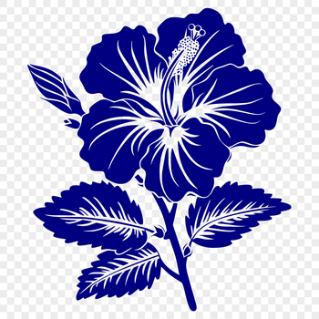 Close-up illustration of a hibiscus flower with detailed petals and center.