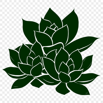 Succulent plant illustration in vector format, suitable for digital crafting and graphic design projects.