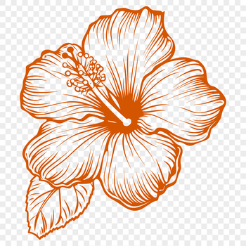 A colorful hibiscus flower illustration with detailed petals and center.