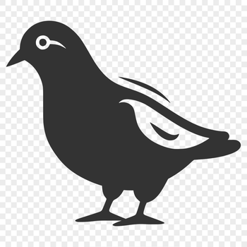 A simple line drawing of a cute bird from full body perspective.