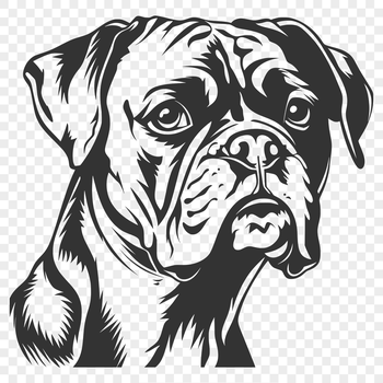 Illustrated vector dog head design featuring a Boxer breed in detailed outline form.