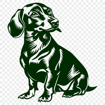 An SVG vector image featuring a realistic dachshund in a seated position.
