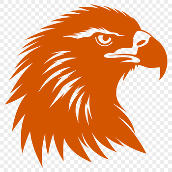A detailed illustration of an eagle's head, featuring sharp talons and feathers, suitable for vector design projects.