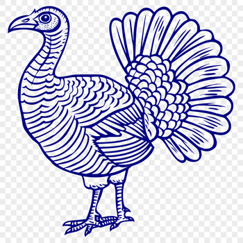 A realistic illustration of a turkey in full body view.