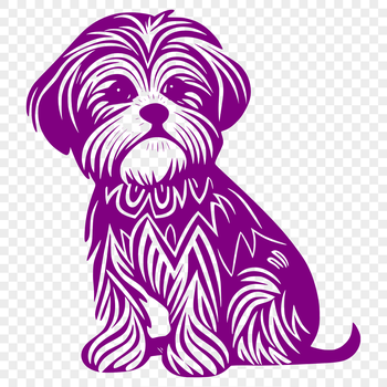A Havanese dog sitting on its hind legs.