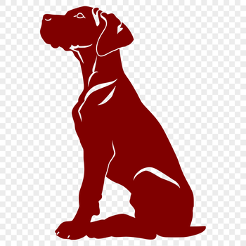 A full-body illustration of a large breed dog, specifically a Great Dane, sitting on its haunches.