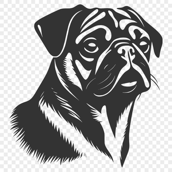A detailed illustration of a pug's head, suitable for use as vector art in various design projects.