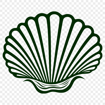 Seashell illustration with intricate details, suitable for seaside-themed designs or vacation projects.