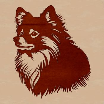 A detailed illustration of a Pomeranian dog in vector format.