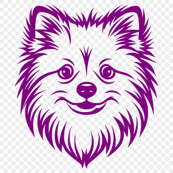 A close-up of a Pomeranian's head with distinctive fur texture.