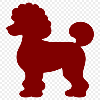 A black and white illustration of a full-body poodle standing on all fours.