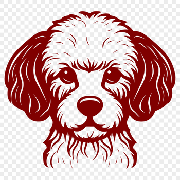 A detailed illustration of a poodle's head in vector format.