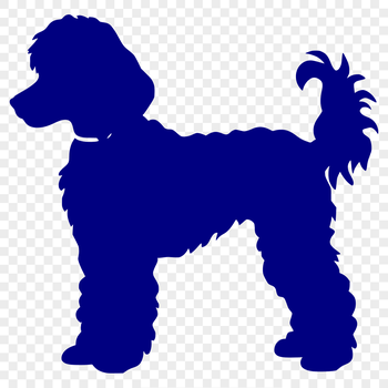 A detailed illustration of a poodle in full body pose.