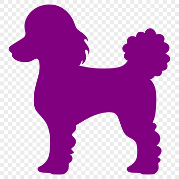 A full-body illustration of a poodle standing upright, suitable for various digital applications.