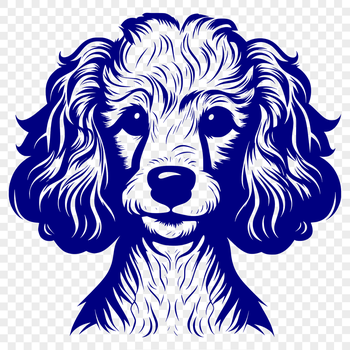 A digital illustration of a Poodle's head, suitable for vector design.