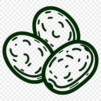A detailed illustration of a potato, suitable for crafting and design projects.